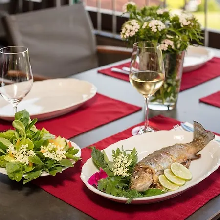 Anetseder & Lofts Hotel Thyrnau