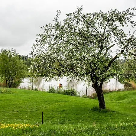 Anetseder Landhotel, Lofts & Golf 酒店 Thyrnau