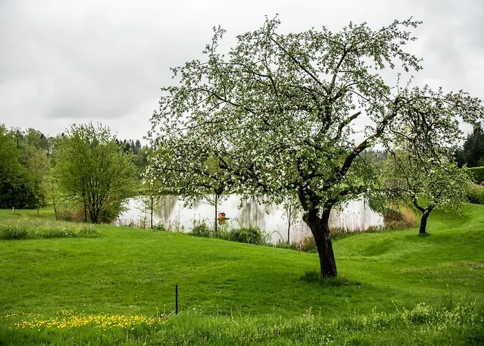 Anetseder Landhotel, Lofts & Golf Hotel Thyrnau